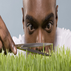 اهمال کاری و کامل گرایی